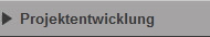 Projektentwicklung