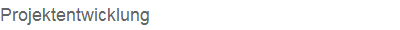 Projektentwicklung